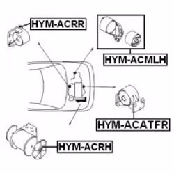 FEBEST HYM-ACATFR non classificato