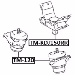 FEBEST TM-120 non classificato