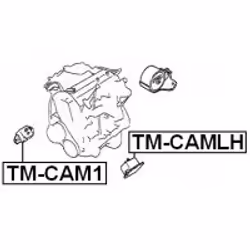 FEBEST TM-CAMLH non classificato