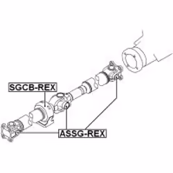 FEBEST ASSG-REX non classificato