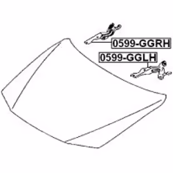 FEBEST 0599-GGRH non classificato