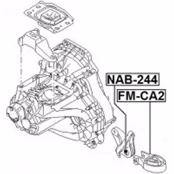 FEBEST FM-CA2 non classificato