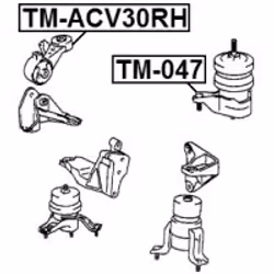 FEBEST TM-ACV30RH non classificato