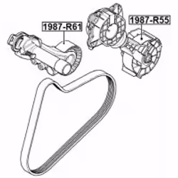 FEBEST 1987-R61 non classificato