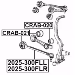 FEBEST 2025-300FLL non classificato