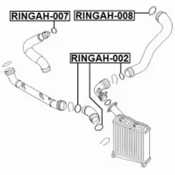 FEBEST RINGAH-008 non classificato