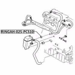 FEBEST RINGAH-025-PCS10 non classificato