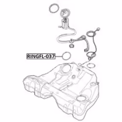 FEBEST RINGFL-037