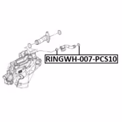 FEBEST RINGWH-007-PCS10