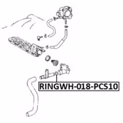 FEBEST RINGWH-018-PCS10 non classificato
