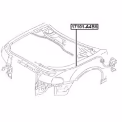 FEBEST 17101-A4B5 non classificato