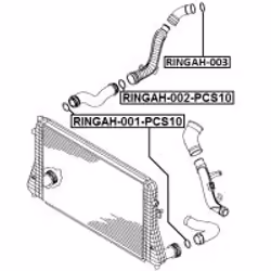 FEBEST RINGAH-002-PCS10 non classificato