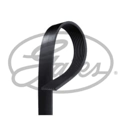 Cinghia Poly-V GATES 8PK2275HD