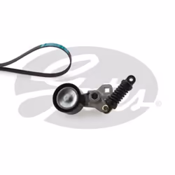 Adatto per tipo di veicolo: Veicolo com./Autocarro. Indice: GATK029PK1887HD. Numero del Produttore: K029PK1887HD. Produttore: ...