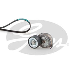 Set di cinghie Poly-V GATES K018PK1875HD