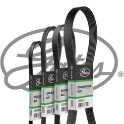 Cinghia Poly-V GATES CB0069
