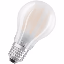 Lampade LED, forma classica a goccia. Caratteristiche del prodotto: Lampade LED professionali a tensione di rete. Non dimmera ...
