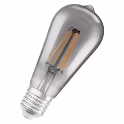 LEDVANCE SMART+, Lampadina intelligente, Bluetooth, Grigio, LED, E27, Bianco caldo