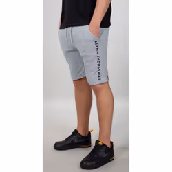 Alpha Industries AI Sweat Pantaloncini, grigio, dimensione L per uomo