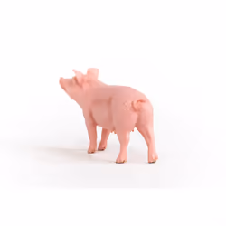schleich FARM WORLD 13933 action figure giocattolo - Vista aggiuntiva 4