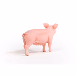 schleich FARM WORLD 13933 action figure giocattolo - Vista aggiuntiva 5