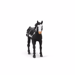 schleich HORSE CLUB 14900 action figure giocattolo - Vista aggiuntiva 4