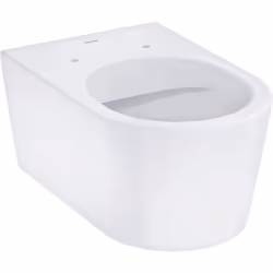 hansgrohe EluPura S 1 x vaso sospeso 540 Dettagli del prodotto WC sospeso con fissaggio a scomparsa scarico orizzontale, risc ...