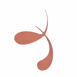 Essence COLOUR it! eyeliner 3 ml Liquido 01 Burnished Bronze - Vista aggiuntiva 4