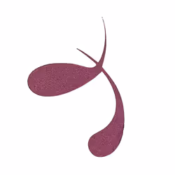Essence COLOUR it! eyeliner 3 ml Liquido 02 Dark Cherry - Vista aggiuntiva 4