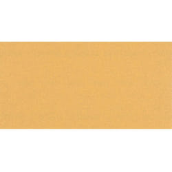 Bosch Accessories EXPERT C470 2608900875 Carta abrasiva orbitale perforato Dimensione dei grani 100 (L x L) 230 mm x 11