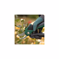 Bosch EasyPrune cesoia da potatura Bypass Nero, Verde - Vista aggiuntiva 4