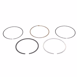 Alesaggio cilindro [mm]: 76,00. Indice: 08-446500-00. Numero del Produttore: 08-446500-00. N° componente: 1.2mm 001 NT ST, 1. ...
