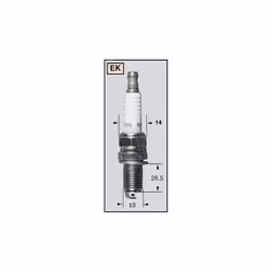 CHAMPION Candela REK6YC / OE8022
