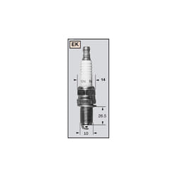 CHAMPION Candela REK6YC / OE8022