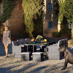 TecTake 404395 set mobili da esterno Grigio, Marrone
