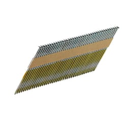 Metabo 630149000 chiodo 4000 pz Chiodo per tetto