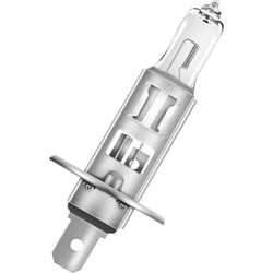 OSRAM 4062172395380 Lampadina alogena Standard H1 55 W 12 V