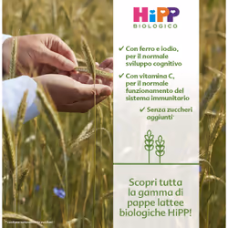 HiPP Pappa Lattea Mela 250g - Vista aggiuntiva 2