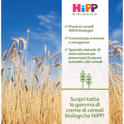 HiPP Crema di avena 200g