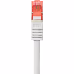 Renkforce RF-4724290, 0,25 m, Cat6, S/FTP (S-STP), RJ-45, RJ-45, Grigio