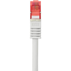 Renkforce RF-4724290 cavo di rete Grigio 0,25 m Cat6 S/FTP (S-STP)