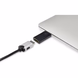 Renkforce RF-4746622 adattatore per inversione del genere dei cavi DisplayPort HDMI Nero