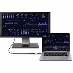 Renkforce RF-4746622 adattatore per inversione del genere dei cavi DisplayPort HDMI Nero - Vista aggiuntiva 4