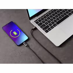 Renkforce RF-6249498 cavo USB USB 2.0 2 m USB C Nero, Metallico