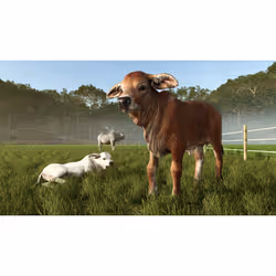 Giants Software Farming Simulator 25: Beans & Alpacas Edition Standard Xbox Series X - Vista aggiuntiva 7