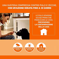 Frontpro Frontline Compresse 11mg per Pulci e Zecche Cani 2-4kg 3 Compresse