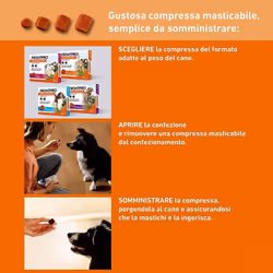 Frontpro Frontline Compresse 11mg per Pulci e Zecche Cani 2-4kg 3 Compresse - Vista aggiuntiva 4