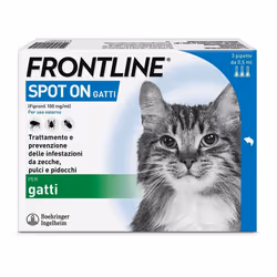 Spot On Gatti è un antiparassitario per gatti in pratiche pipette con un’azione insetticida e acaricida