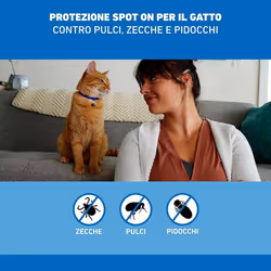 Frontline Spot On Gatti x3 Pipette, Antiparassitario per Gatti, Contro Zecche, Pulci e Pidocchi 3 pz Pipette monodose