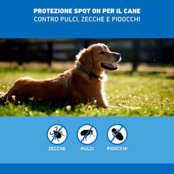 Frontline Spot On Cani x3 Pipette, Antiparassitario Per (10-20Kg) Contro Pulci, Zecche E Pidocchi 3 pz Pipette monodose